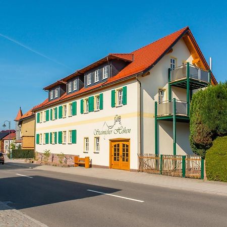 Staimicher Hoehen - Premium Appartements Kurort Steinbach-Hallenberg Extérieur photo